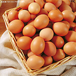 蛋制品消毒和清洗